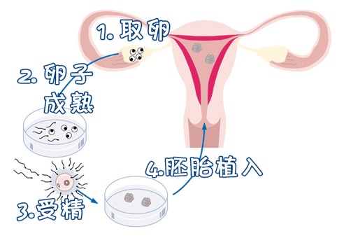 周立行